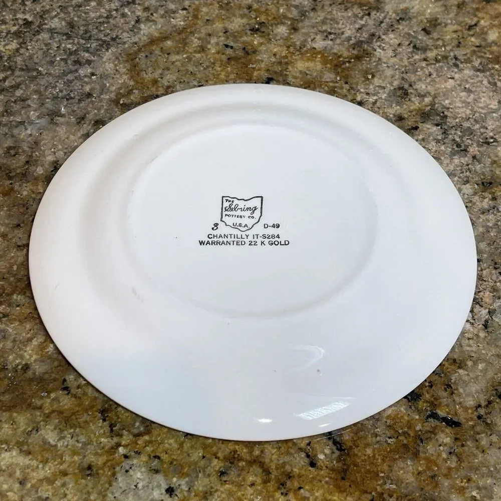 Sebring Pottery‎ Co Plate Chantilly 24k Gold Multicolor Porcelain Size 6.5